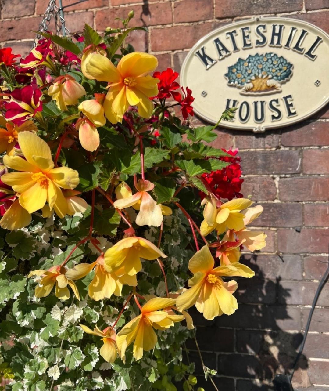 Kateshill House Bed & Breakfast Бюдли Екстериор снимка